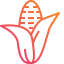 Corn icon 64x64