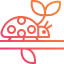 Ladybug icon 64x64