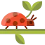 Ladybug icon 64x64