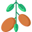 Argan icon 64x64