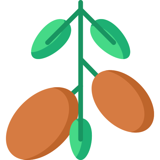 Argan アイコン