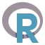R ícono 64x64