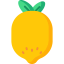 Lemon icon 64x64