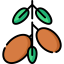 Argan 图标 64x64