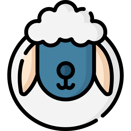 Sheep 상