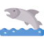 Salmon 상 64x64