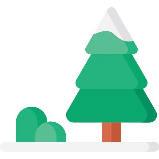 Tree 상