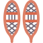 Snowshoes 상 64x64