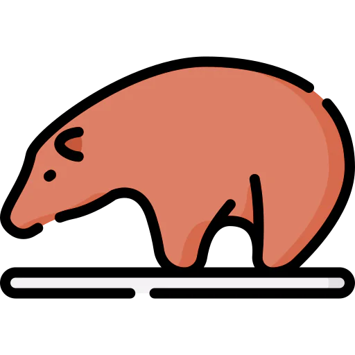 Bear icon