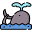Whale 상 64x64