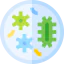 Petri dish 图标 64x64