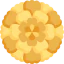 Marigold іконка 64x64