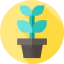 Plant pot icon 64x64