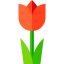 Tulip biểu tượng 64x64