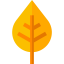 Leaf biểu tượng 64x64