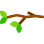 Branch biểu tượng 64x64