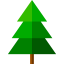 Pine biểu tượng 64x64