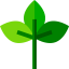 Leaf 图标 64x64