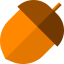 Acorn 图标 64x64