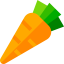 Carrot 图标 64x64