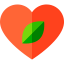 Leaf 图标 64x64