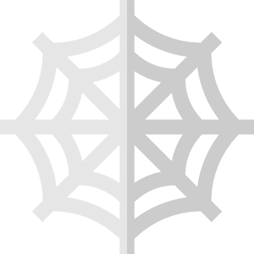 Spider web icon