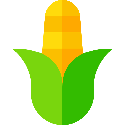 Corn icon