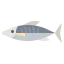 Mackerel icon 64x64