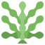 Seaweed іконка 64x64