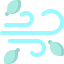 Windy icon 64x64