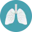 Lungs icon 64x64