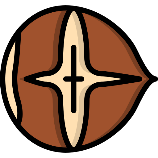 Nuts icon