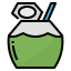 Coconut icon 64x64