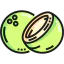 Coconut icon 64x64