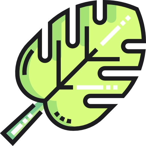Leaf icon