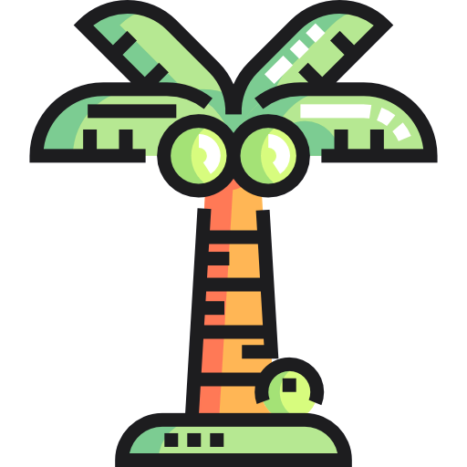 Palm tree 상