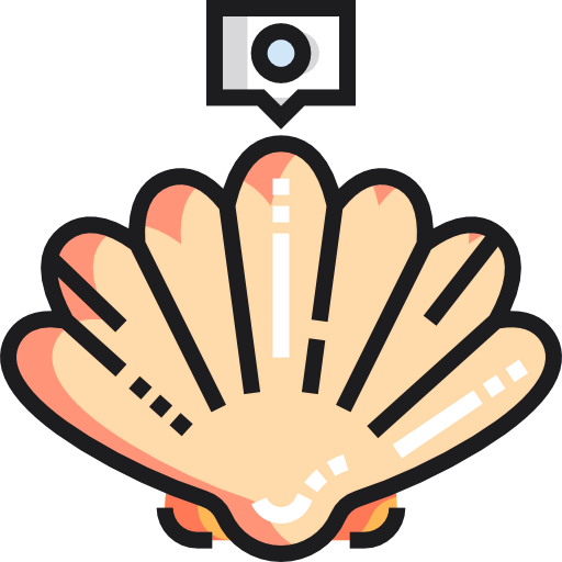 Shell icon
