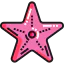 Starfish 상 64x64