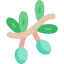 Olive icon 64x64