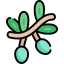 Olive icon 64x64