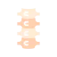 Spine biểu tượng 64x64