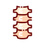 Spine 图标 64x64