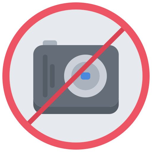 No camera icon