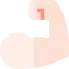 Biceps icon 64x64