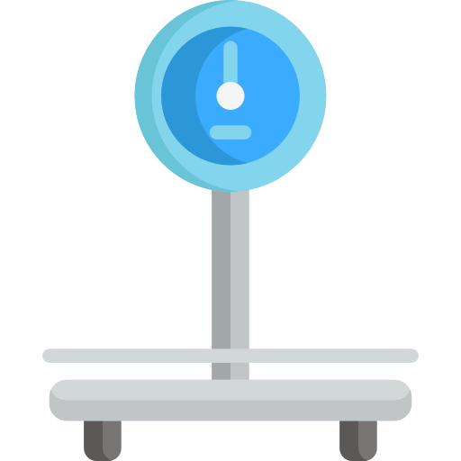 Scale icon
