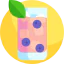 Berry icon 64x64