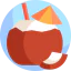 Coconut icon 64x64
