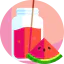 Watermelon juice icon 64x64