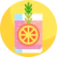 Blood orange icon 64x64