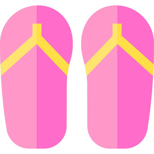 Flip flops Symbol